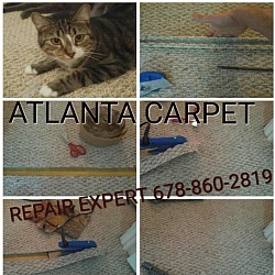 Berber Carpet Repair for Pet Damaged Carpet in Vinnings Atlanta, Ga