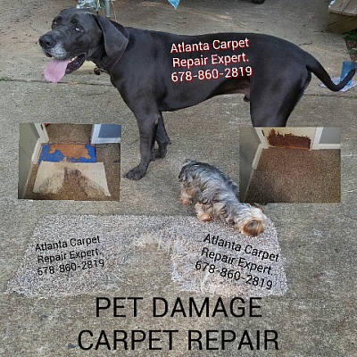 Atlanta Carpet Repair Expert has been fixxing carpets damaged by dogs and cats all over the Metro Atlanta area.    