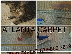 Pets and berber carpet can be a really bad combination.