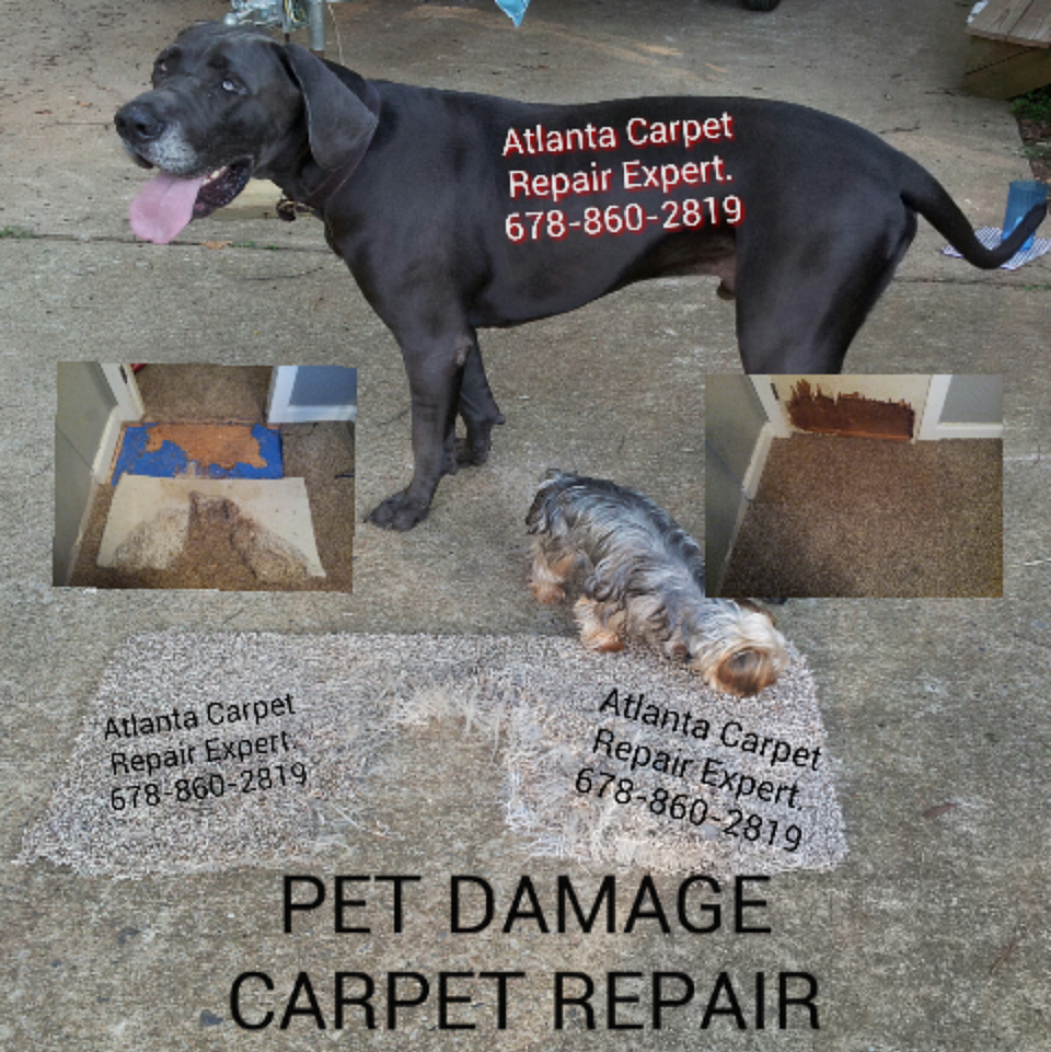 Atlanta Carpet Repair Expert pet Damage Carpet Repair