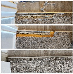 Pet damaged doorway carpet repair